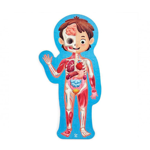 Puzzle gigante el cuerpo humano