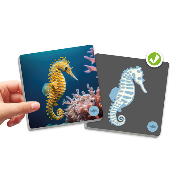 Maxi-memory animales vertebrados y su esqueleto